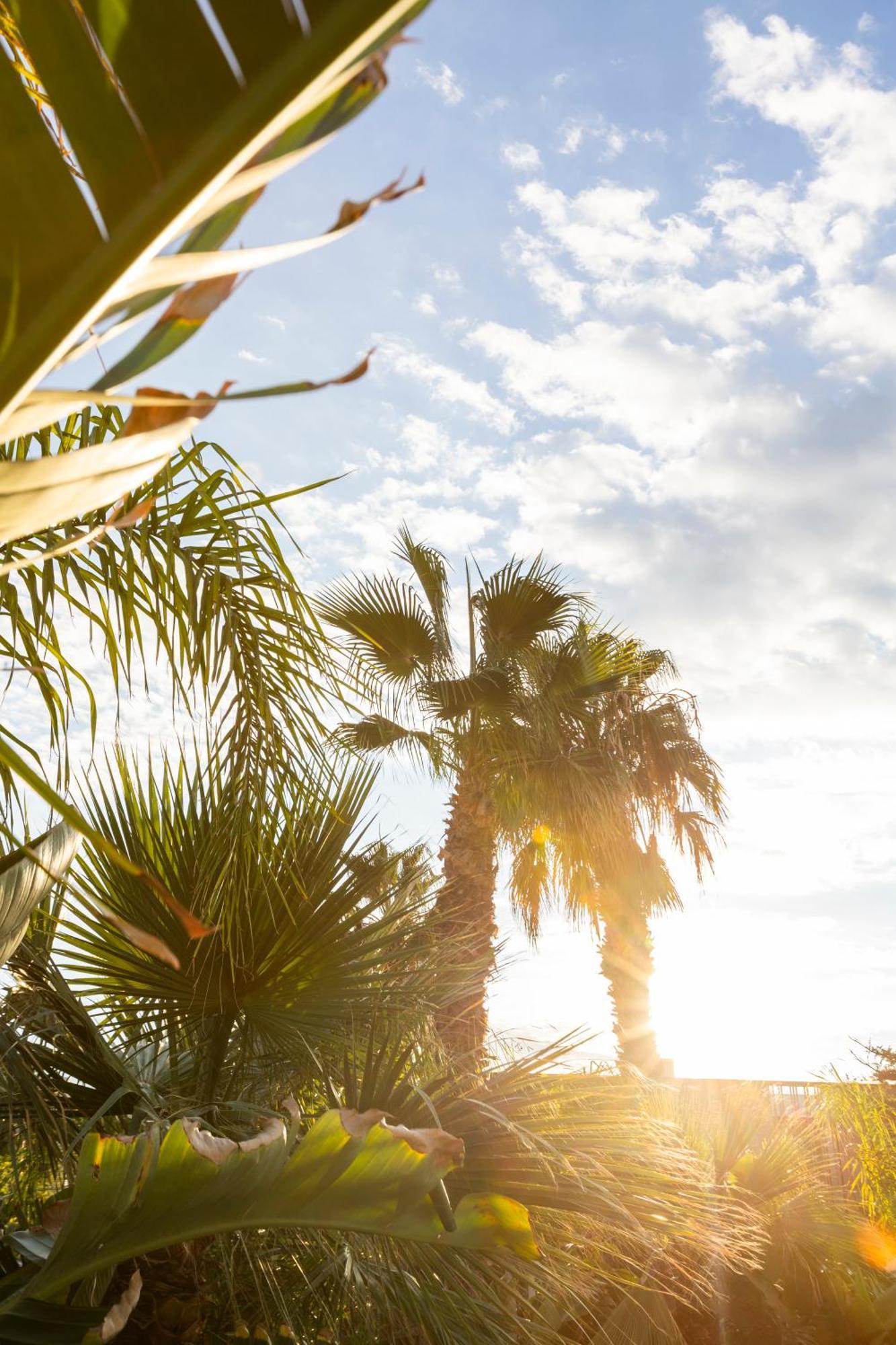 Albades Hotel & Spa (Adults Only) Benicàssim Eksteriør billede