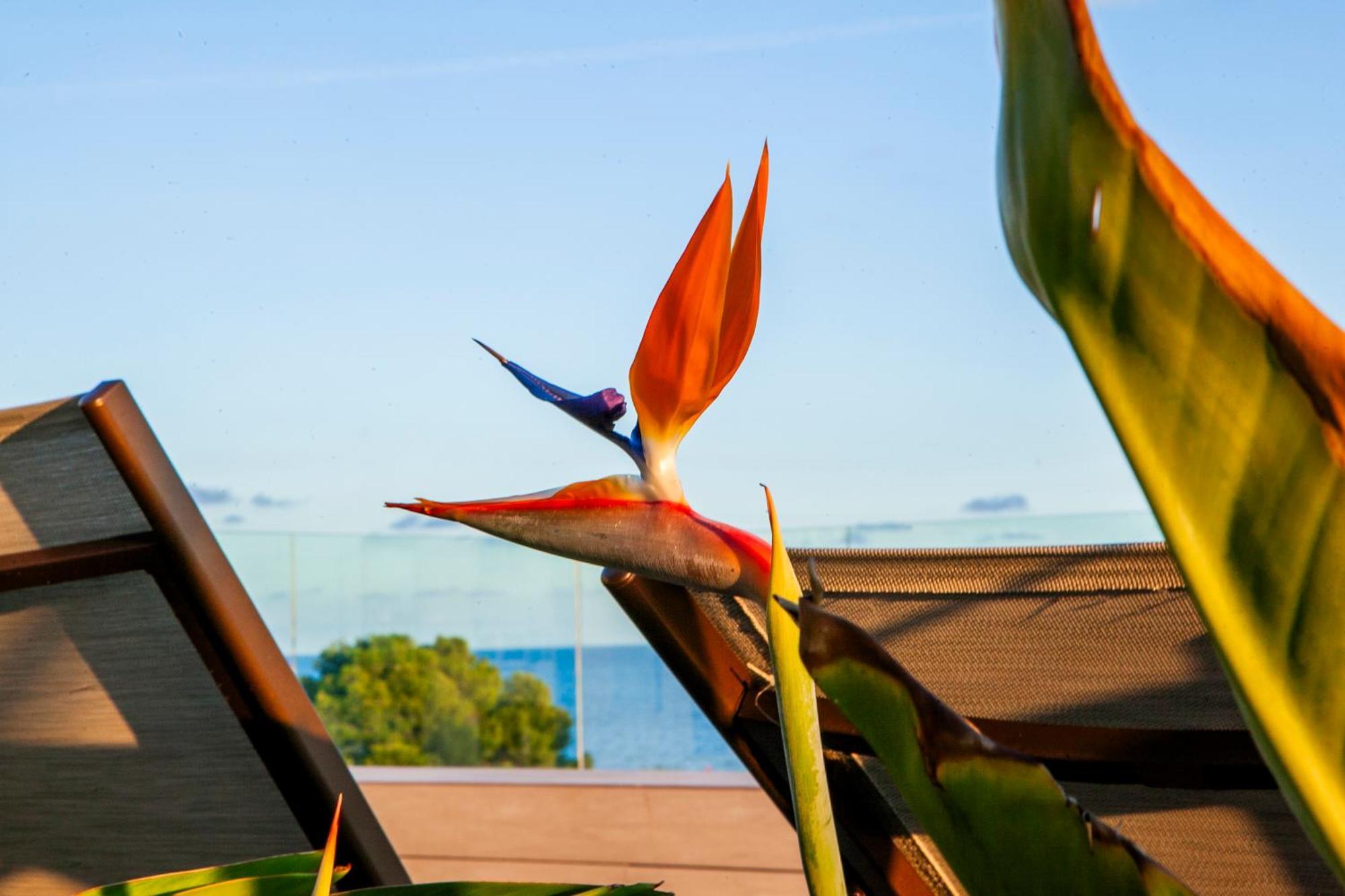 Albades Hotel & Spa (Adults Only) Benicàssim Eksteriør billede